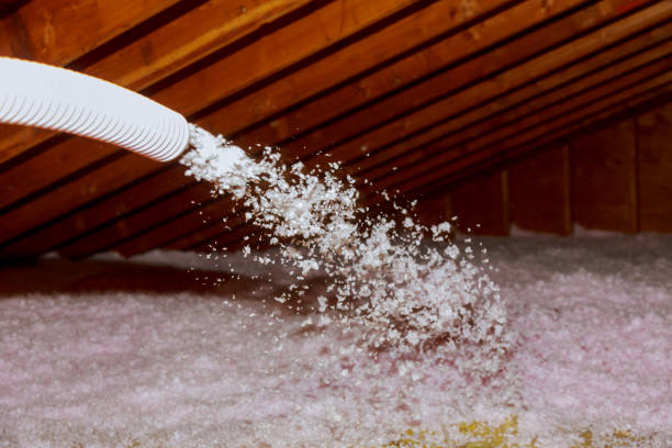 Best Fiberglass Insulation  in South Sioux City, NE