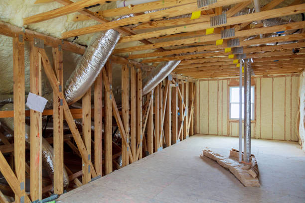 Best Professional Insulation Contractor  in South Sioux City, NE