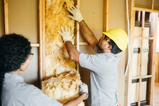 Best Best Insulation Companies  in South Sioux City, NE