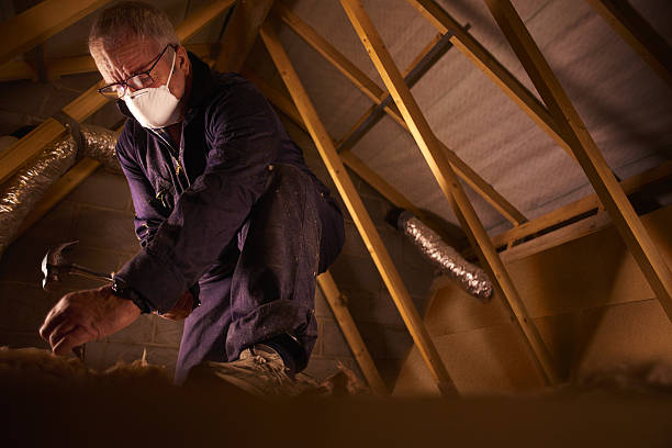 Best Insulation for New Construction  in South Sioux City, NE