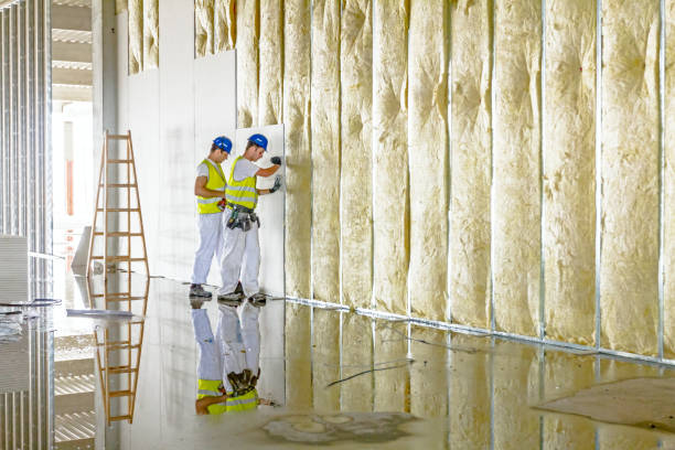 Best Spray Foam Insulation  in South Sioux City, NE